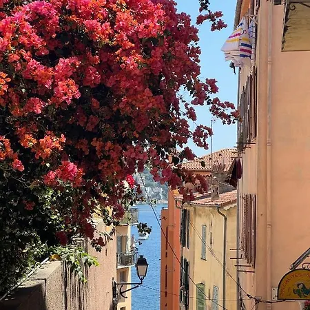 Lejlighed Charming Flat In Heart Of